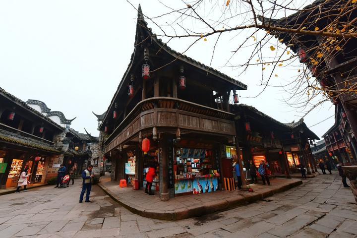 奥日与黑暗森林